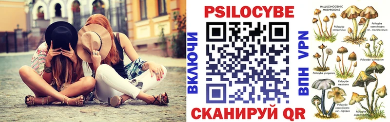 наркота  Ивдель  сайты даркнета Telegram  Галлюциногенные грибы MAGIC MUSHROOMS 